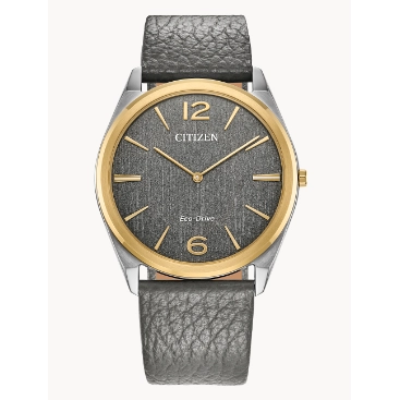 Citizen Suratto Eco-Drive Watch