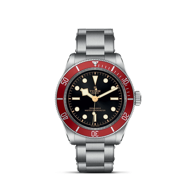 TUDOR Black Bay