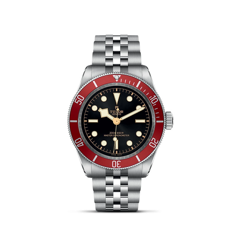 Tudor Black Bay